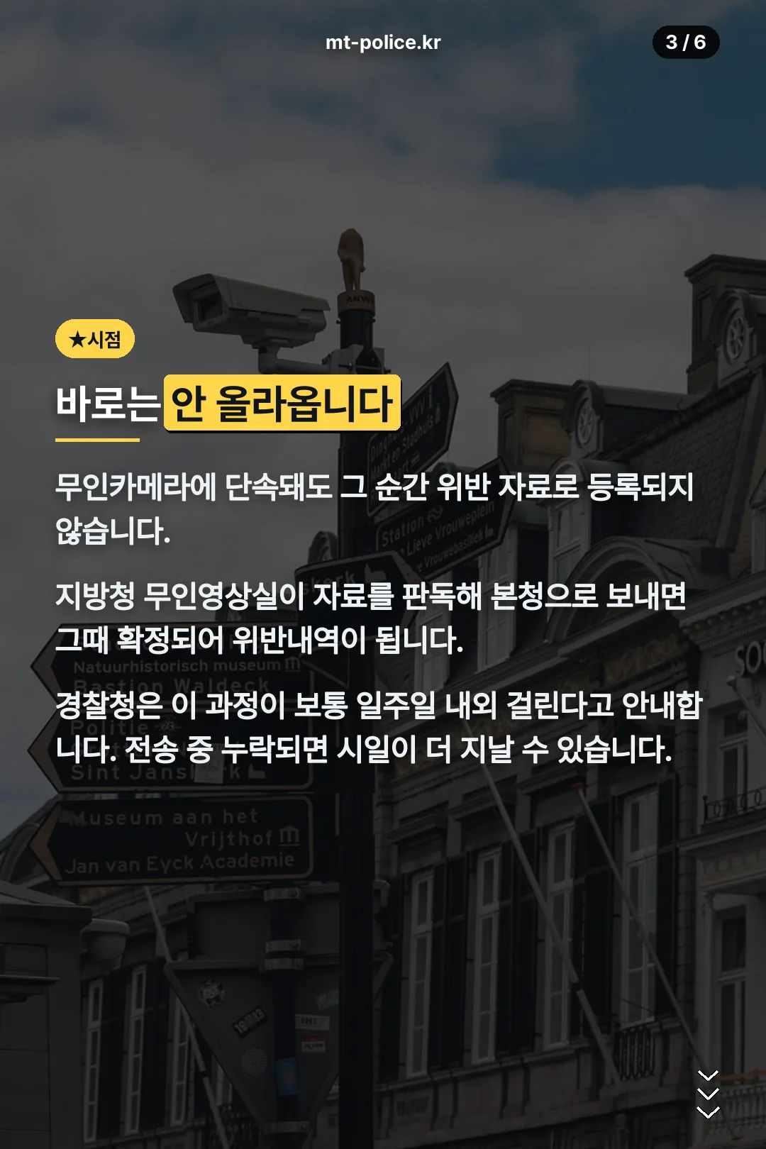 단속 후 등록까지