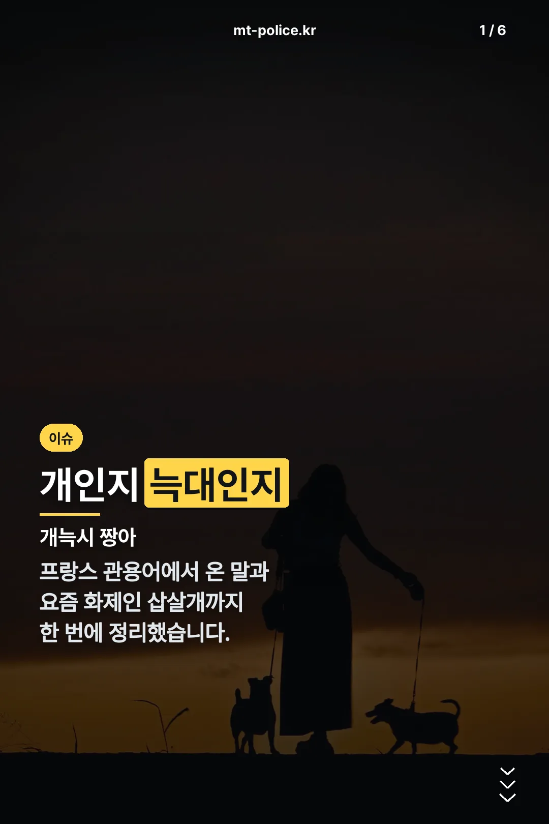 개늑시 짱아 표지