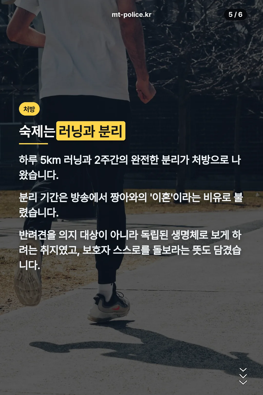 강형욱 처방