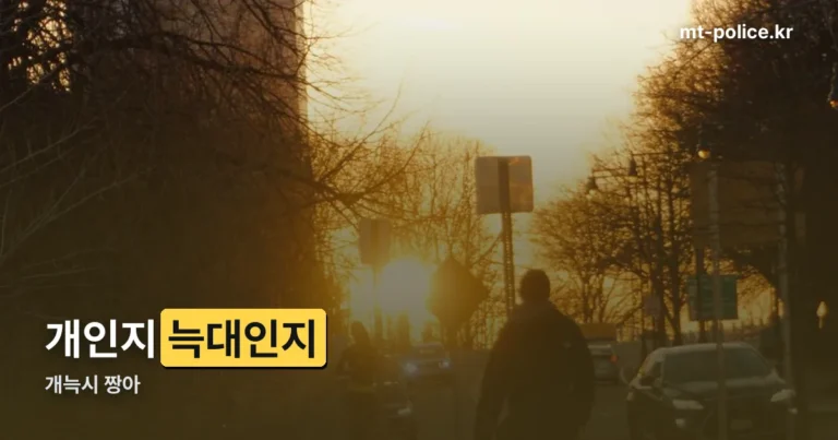 개늑시 짱아 — ‘개와 늑대의 시간2’에 나온 삽살개입니다