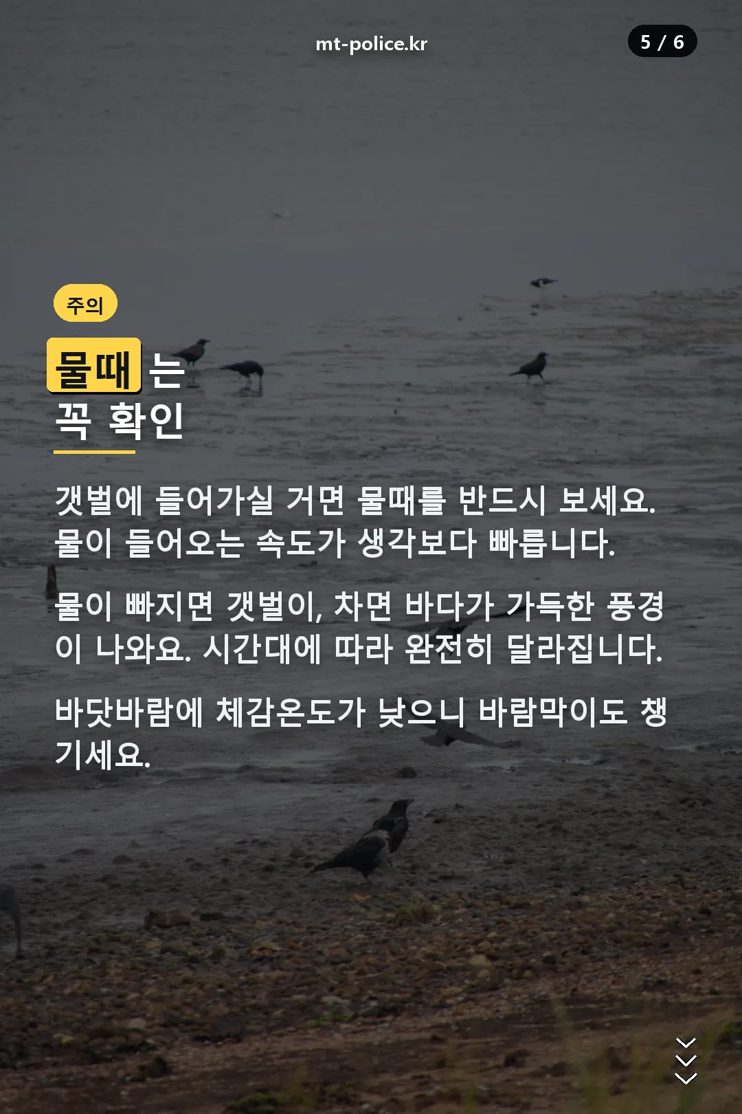 물때 주의