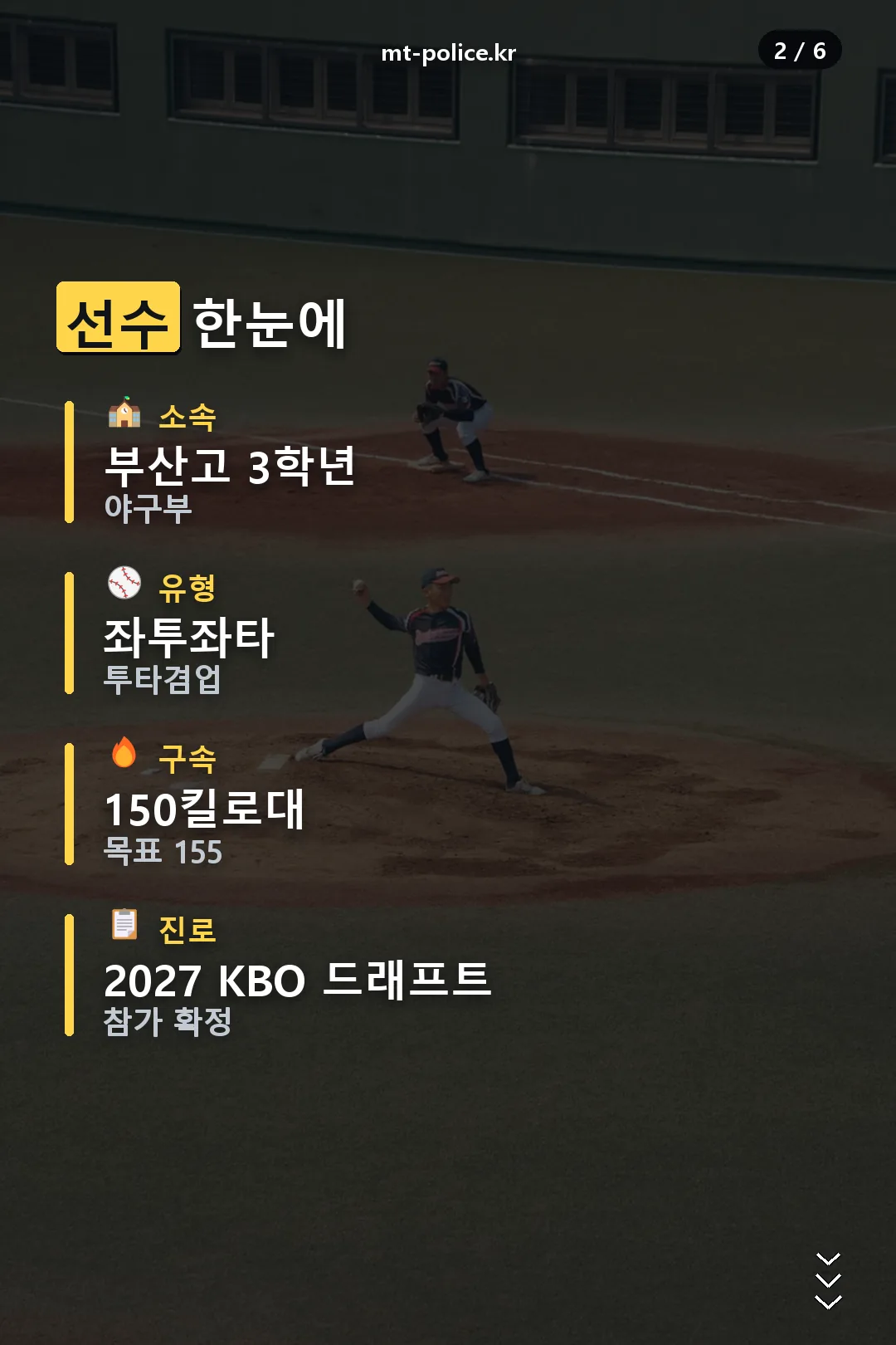 선수 정보 요약