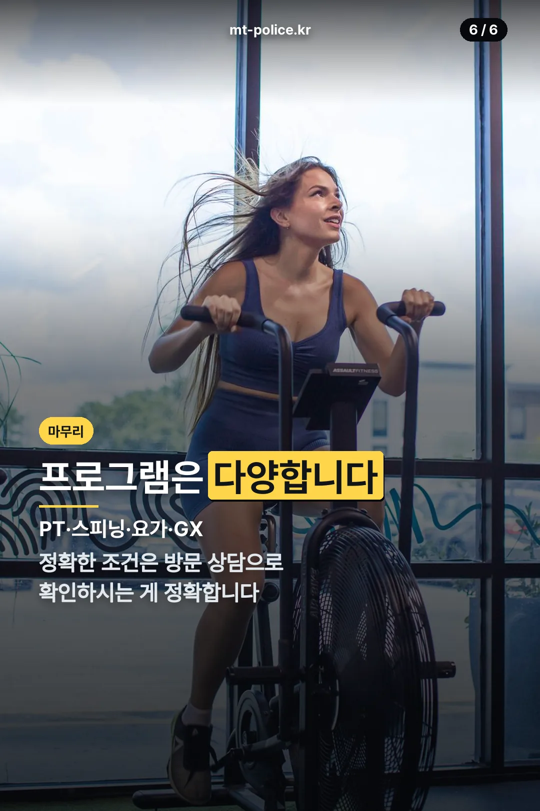 프로그램 안내
