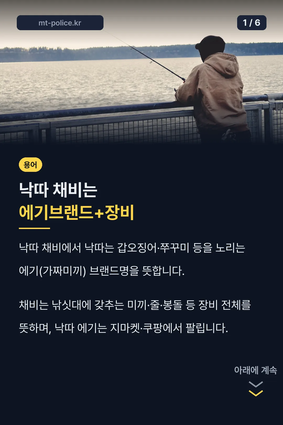 낙따 채비는 에기브랜드+장비
