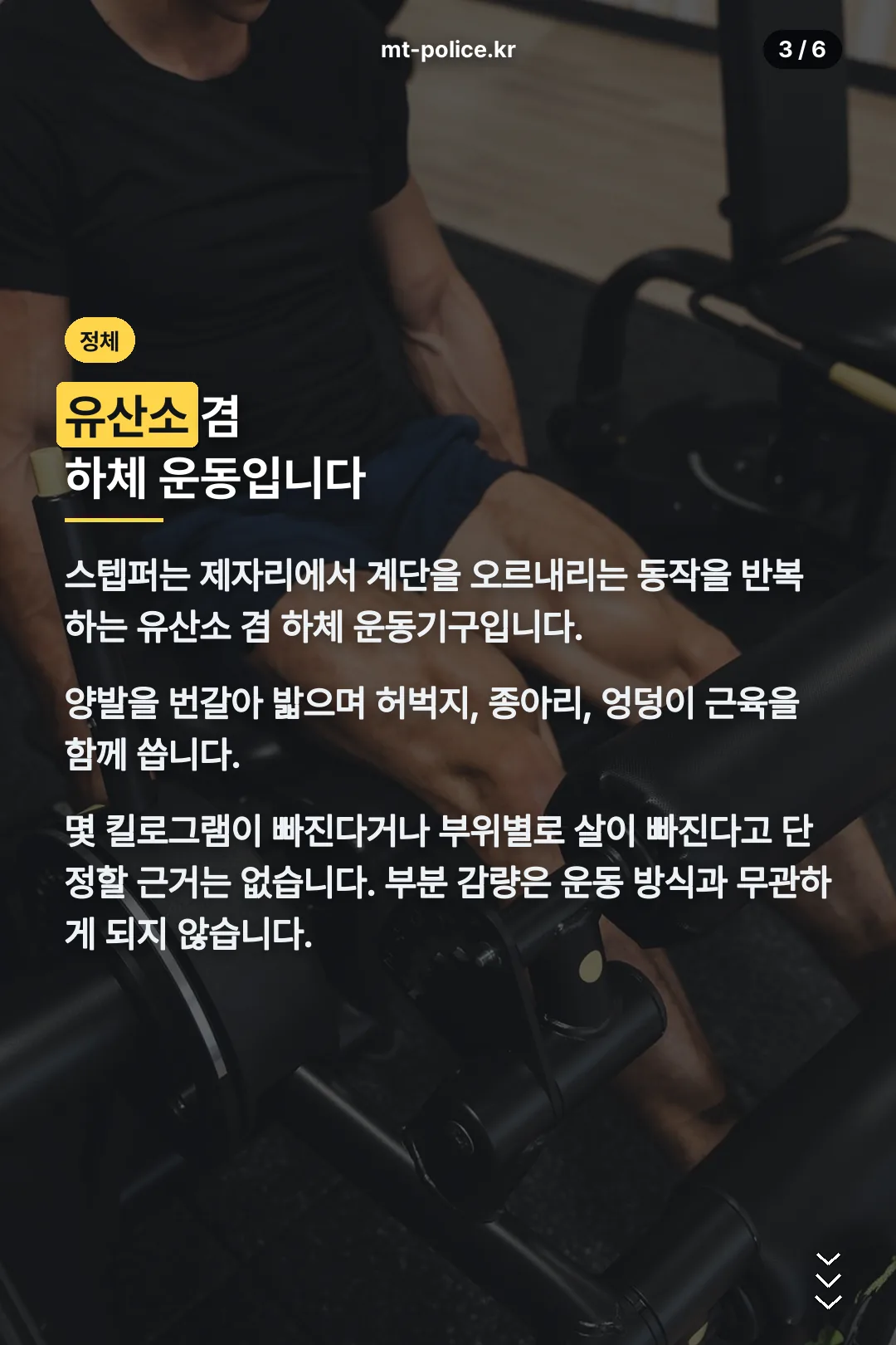 스텝퍼란 무엇인가
