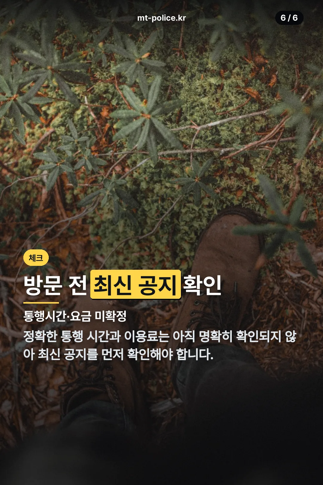 방문 전 확인할 점