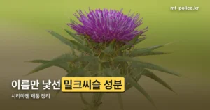 시리마젠 정리 썸네일