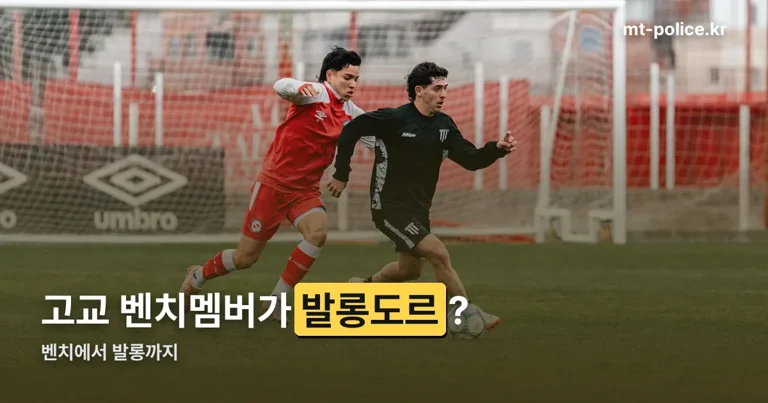 벤치에서 발롱까지 정리 썸네일