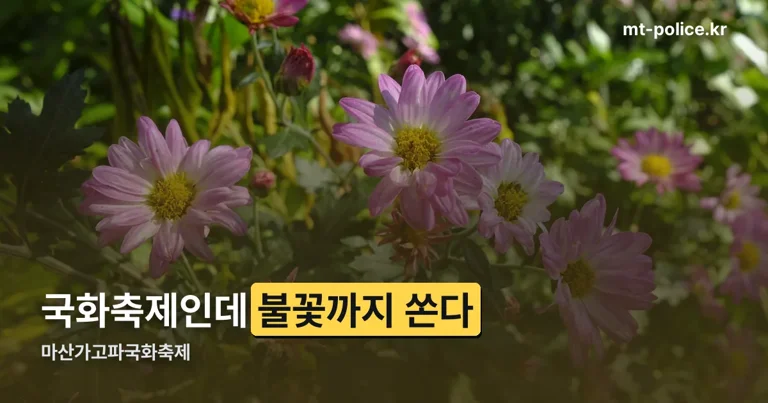 마산가고파국화축제 정리 썸네일