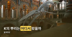 팔색찬란 — 청와대 사랑채, K의 뿌리를 묻는 지역문화 전시 정리