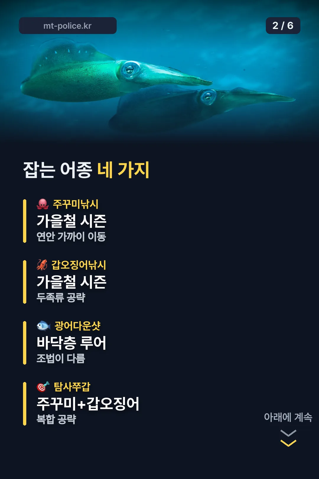 잡는 어종 네 가지