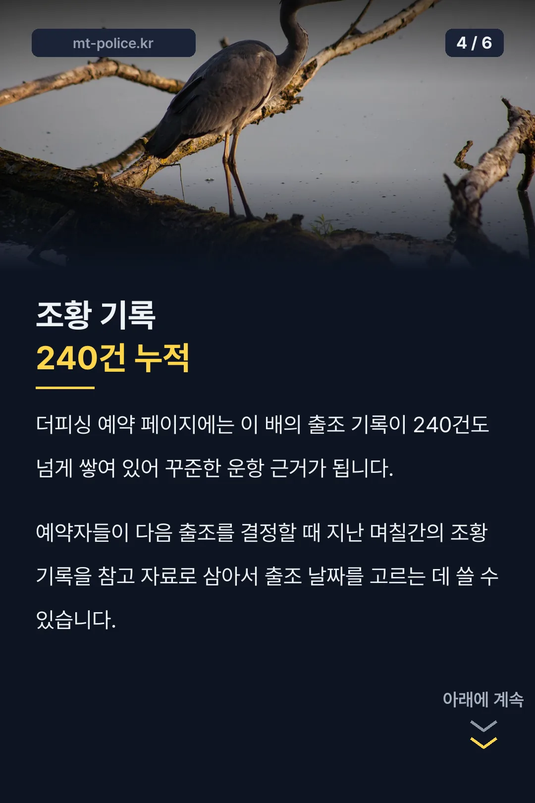 조황 기록 240건 누적