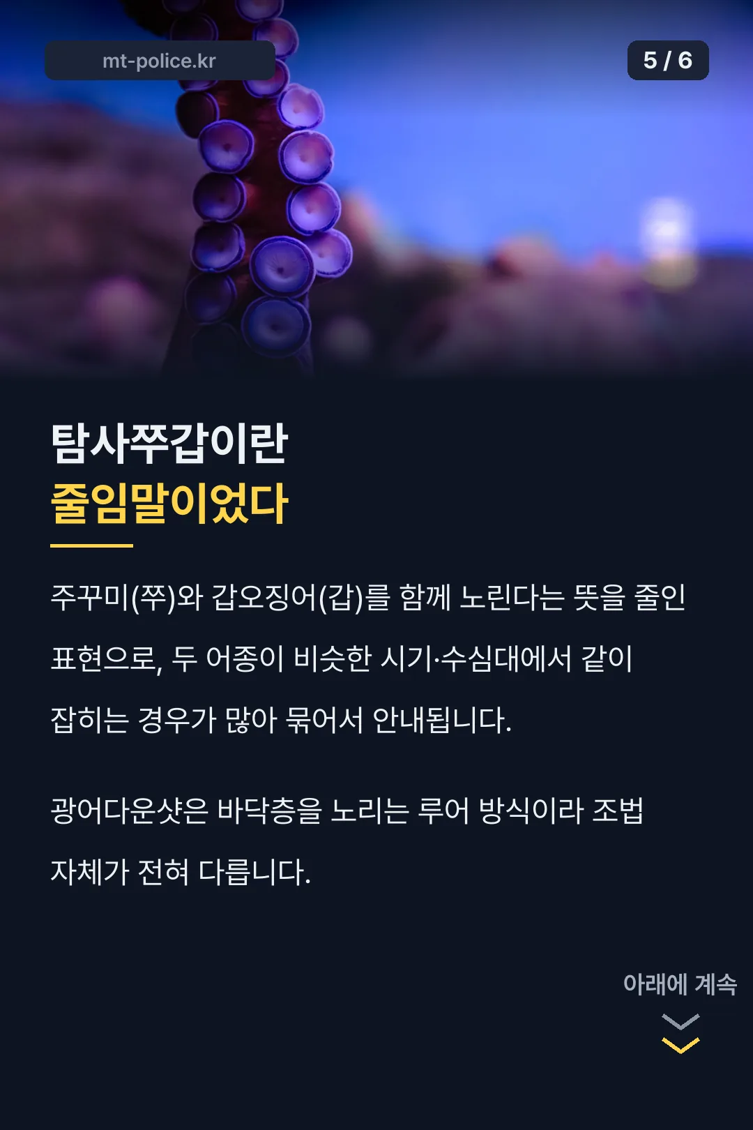 탐사쭈갑이라는 줄임말