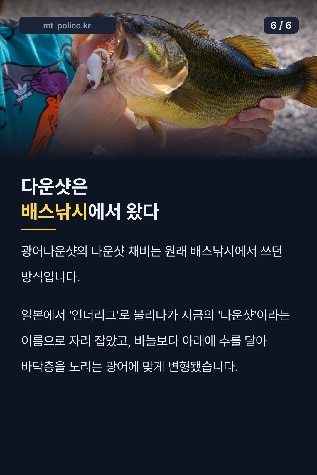 다운샷의 배스낚시 유래